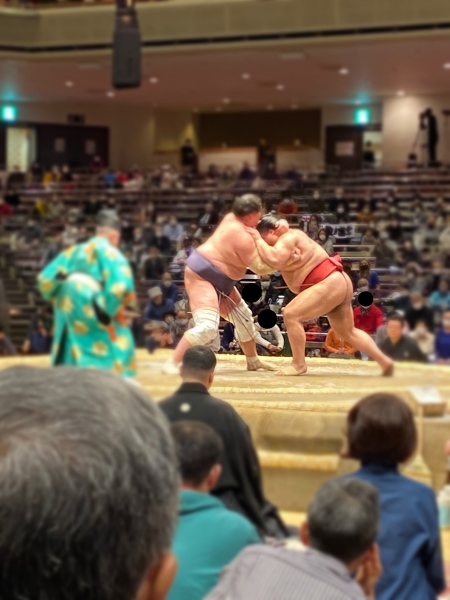 2018年の相撲